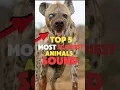 TOP 5 Scariest Animal Sounds in the World