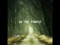 In The Forest (Instrumental)