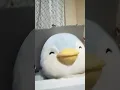 Download Lagu Chubby Penguin is Skibidi toilet 🚽💥 #trending #skibiditoilet #tiktok #penguin #shorts