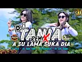 Lagu DJ TERBARU 2023 || TANIA \