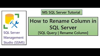 How to Rename Column in SQL Table MS SQL Server SQL Rename Column