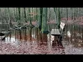 Download Lagu Overstroming Leuvenumse beek (Veluwe)
