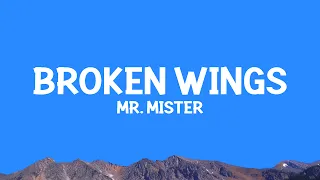 Mr. Mister - Broken Wings (Lyrics)