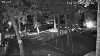 Goldy s Yard 700pm 758pm CAfe Lights misc to 1100pm farm day ends Goaties paddock 8152024