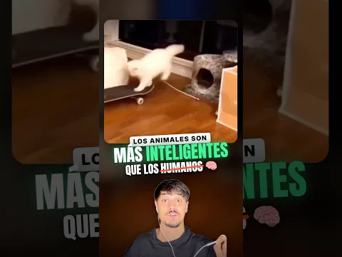 Los Animales Son Mas Inteligentes Que Los Humanos 🤯 #shorts