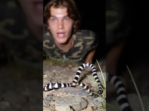 This Snake Spends 90% of Its Life Underground