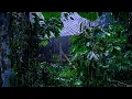 Download Lagu Rainforest Rain Sounds for Sleeping Rain Sounds with Thunder