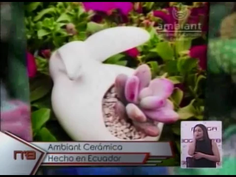 Ambiant Cerámica hecho en Ecuador
