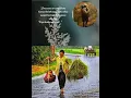 Download Lagu story WA untukmu ibu 30 detik