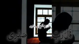 قال رب اشرح لي صدري الشيخ سيد متولي عبدالعال القرآن الكريم Fyp Fyp Viral Foryou 