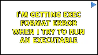 Ubuntu I m getting exec format error when I try to run an executable 2 Solutions