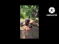 Karai nat.narara