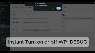 WordPres Debug Log Manager Tool