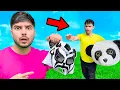 I REVEALED the PANDA FACE