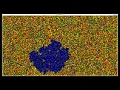 Comparison of Pathfinding Algorithms in Python