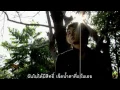 ไม่มีใครแทนใครได้ - เอ็ม อรรถพล【OFFICIAL MV】