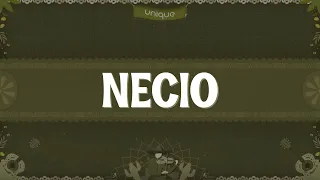 Romeo Santos - Necio (Lerta/Lyrics) ft. Santana