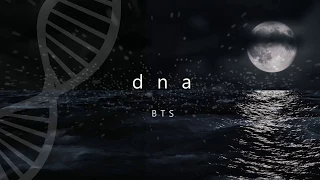 BTS 방탄소년단 DNA Han Eng Animated Lyric Video By Pro Lyrics 