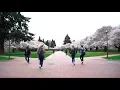 Why You Should Go to the University of Washington