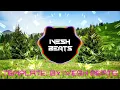 Download Lagu Didi Tera devar MoombatonneMix - DJ ShaaN  DILESH