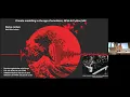 TRR 181 Seminar Climate modelling in the age of emulators GPUs