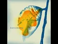 Karsinoma - Zat Kimia