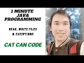 1 MINUTE JAVA PROGRAMMING Files Exceptions Cat Can Code