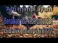 Download Lagu Arti Mimpi Ayam: Petunjuk Hidup dan Pertanda di Masa Depan