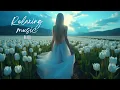 Download Lagu Relaxing Music Bliss｜11th Album “Dreams Within Dreams”