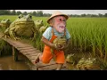 Download Lagu Hilarious Moment! Mom frog chase monkey SU when stole baby frog to feed