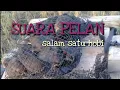 Download Lagu Suara burung pelan jitu baru