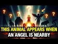 CHOSEN ONE: THIS ANIMAL IS A SIGN THAT AN ANGEL IS NEAR — YOU MAY HAVE PASSED BY IT TODAY