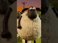 Download Lagu 🐑 What The Flock do when the Animators are Away #shaunthesheep #pranks #funny #animation #stopmotion