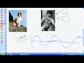 DSP and Nyquist Sampling Theorem