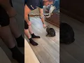 How to properly pick up a cat
