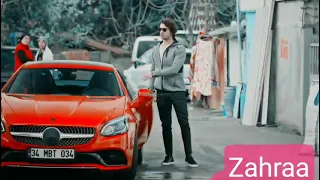 لفلي حشيش كنان 