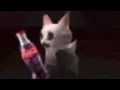 Uhhh leak i guess