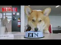 Video di Cowboy Bebop | Behind the Scenes | Netflix