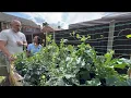 Download Lagu PANEN PERDANA DARI KEBUN YG KITA TANAM