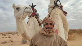 شعر بدوي عن الجمل من الجنوب التونسي ولاية قبلي  شعر بدوي عن الجمل من الجنوب التونسي ولاية قبلي