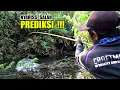 Download Lagu Pemancing hampir saja putus asa namun akhirnya double kill  #SG-439