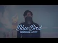 Download Lagu Blue Bird (Indonesia Cover) OP 3 Naruto Shippuden