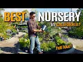 Maybe the Coolest Nursery in California Glendora Gardens Full Tour