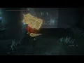 Elden Ring Caelid Catacombs Walkthrough 4K 60FPS