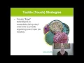 Sensory Tools Strategies for Children Part Exploring the Senses