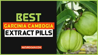 Best Garcinia Cambogia Extract Pills Benefits for Weight Loss Fat Burning