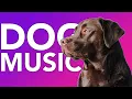 Download Lagu 20 HOURS Relax My Dog: Helped 10 Million Dogs with Anxiety!