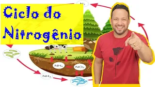 Ciclo do Nitrogênio - Ciclos Biogeoquímicos - Ecologia - Biologia com o Tubarão