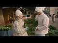 Experience the Warmth of the Holidays in Holland MI