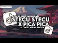 Download Lagu DJ STECU STECU STELAN CUEK X NONA AMBON PICA PICA SLOW BASS VIRAL TIKTOK